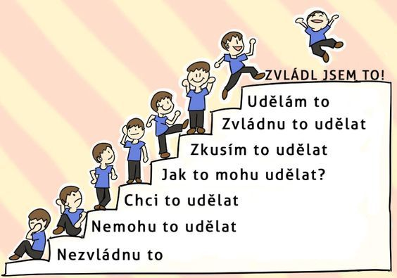 zvl